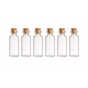 Set of 6 Mini Clear Glass Bottles with Corks Small Glass Vials 2.5 Inch Craft St